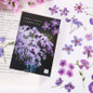 thumbnail - 1
