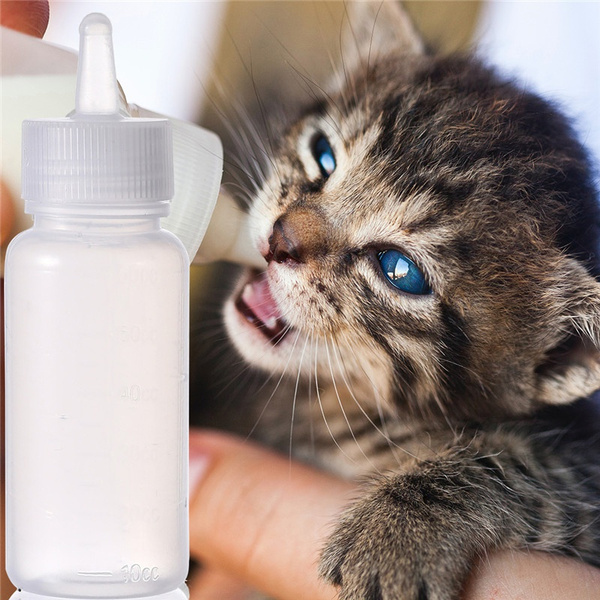 Cat 2024 baby bottle