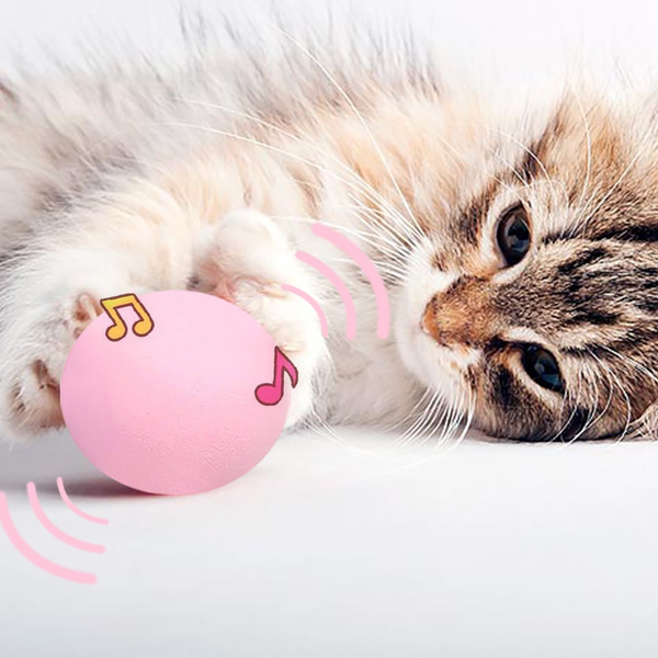 smart kitty toys