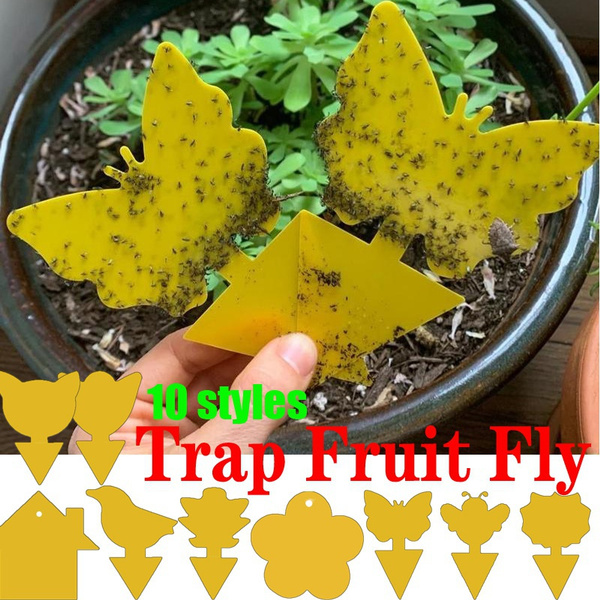 Sticky Trap,Fruit Fly and Gnat Trap Yellow Sticky Bug Traps for