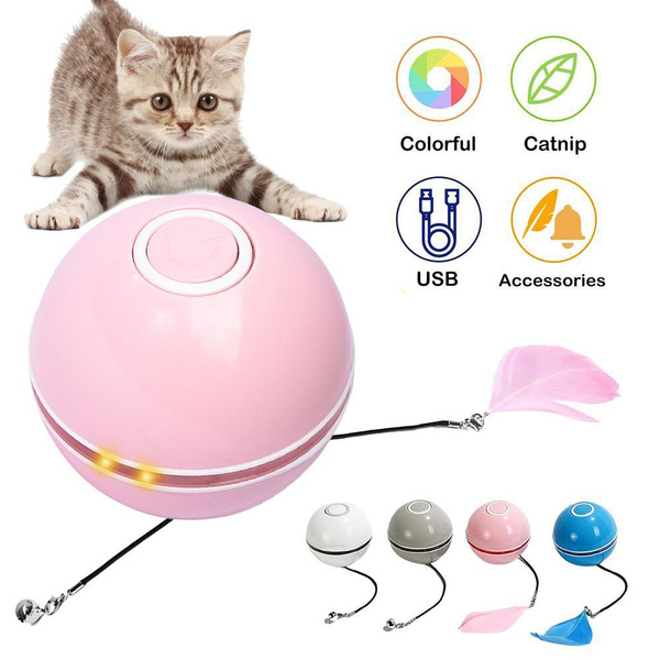 Wish cat outlet toys