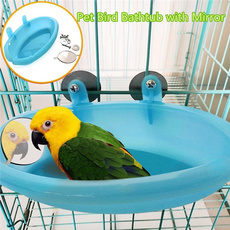 Parrot, Pets, Pet Products, Bath