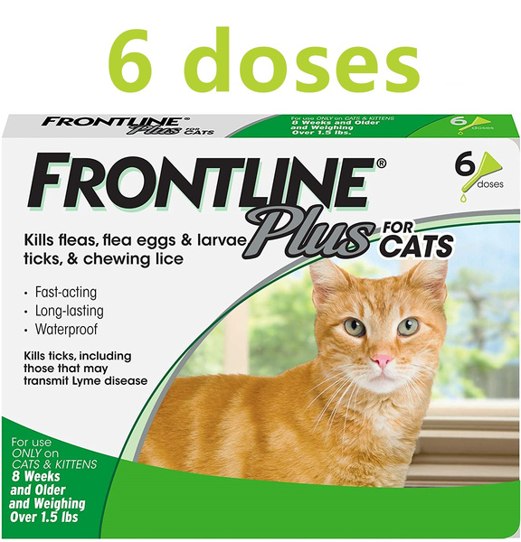 frontline plus 6 doses