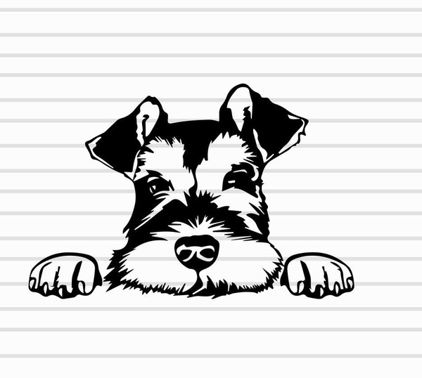 2Pack Miniature Schnauzer Dog Vinyl Sticker Decal Wish