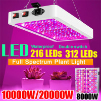 Wachstumleuchten >E14 LED Pflanzenlampen 3W 36LED Anzucht Hydrokultur & ADAPTER 