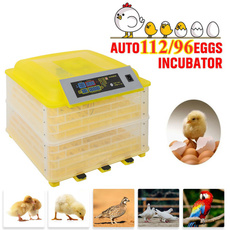 incubator, Electric, Mini, digitalincubator
