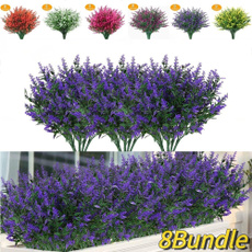 Bonsai, Home & Kitchen, Plantas, Flowers