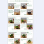 thumbnail - 12