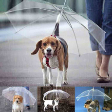 transparentumbrella, Waterproof, catumbrella, Umbrella