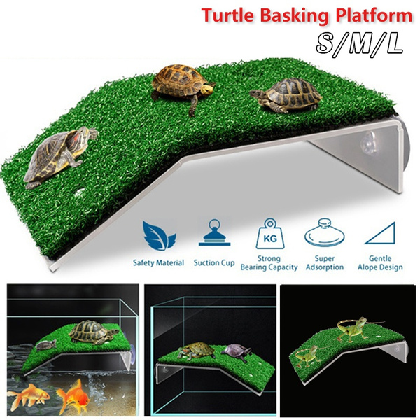 3 Sizes Turtle Basking Platform, Acrylic Tortoise Ramp Ladder Resting ...