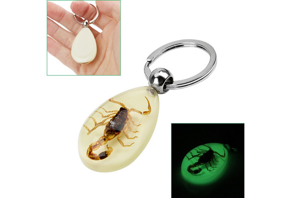 Taxidermy Creative Amber Car Keyring Keychain Noctilucent Scorpion Pendant 