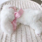 thumbnail - 2