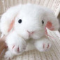 thumbnail - 3