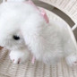 thumbnail - 4