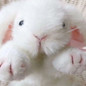 thumbnail - 6