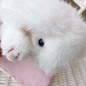 thumbnail - 8