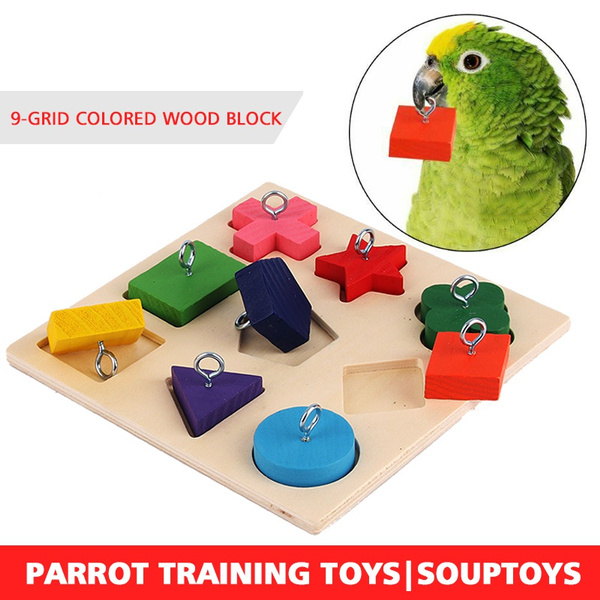 parrot puzzle toys