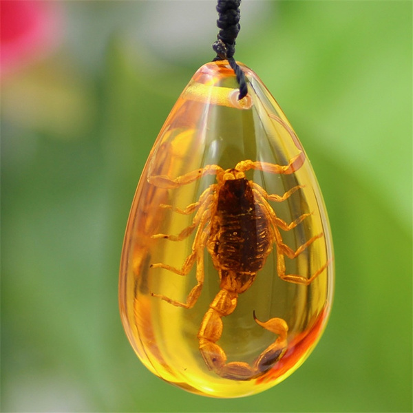 Insect Stone Natural Scorpions Inclusion Amber Baltic Pendant Necklace ...