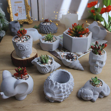 cute, Plants, Flowers, moldsilicone