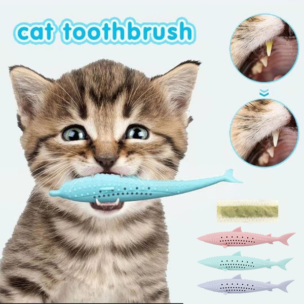 Silicone store cat toothbrush