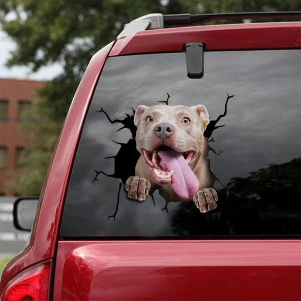 pitbull car decal