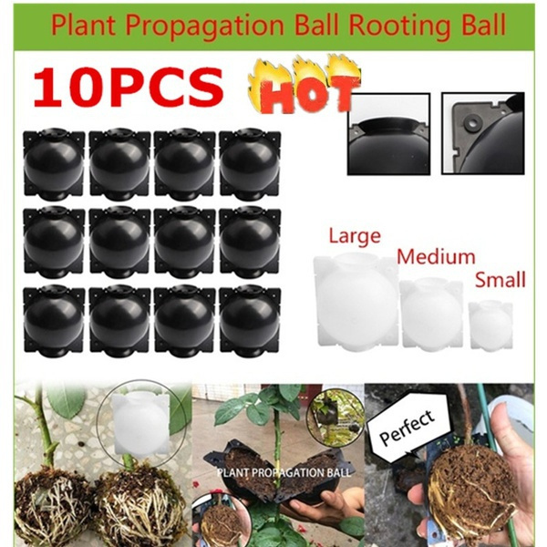 10 large Plant High Pressure propagation ball Grafting Rooting Device