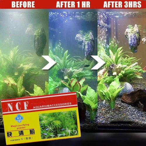 Eco on sale fish tank