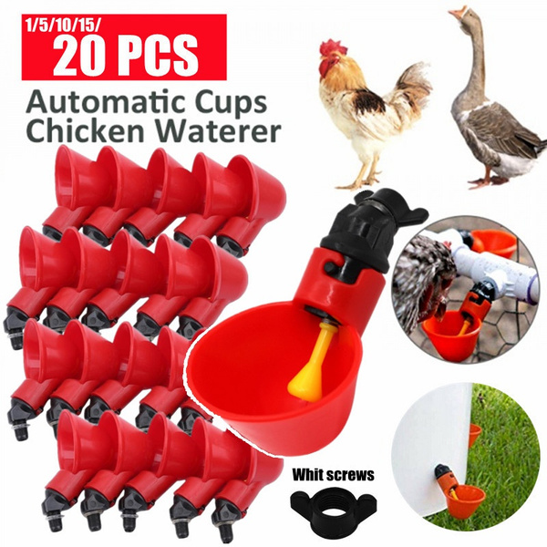 5 Packs Poultry Water Drinking Cups-Plastic Chicken Hen Automatic Drinker Red 