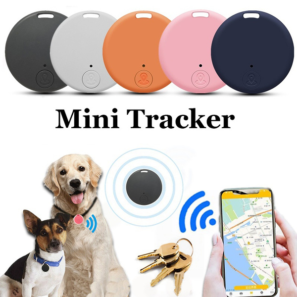 dog smart tag