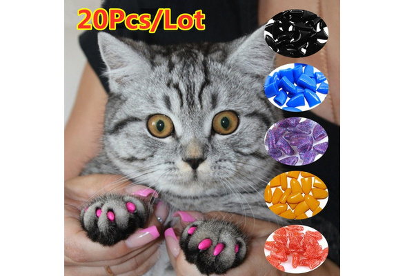 Cat nail outlet covers petsmart