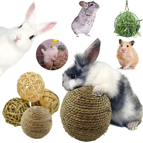 rabbit cleaning supplies