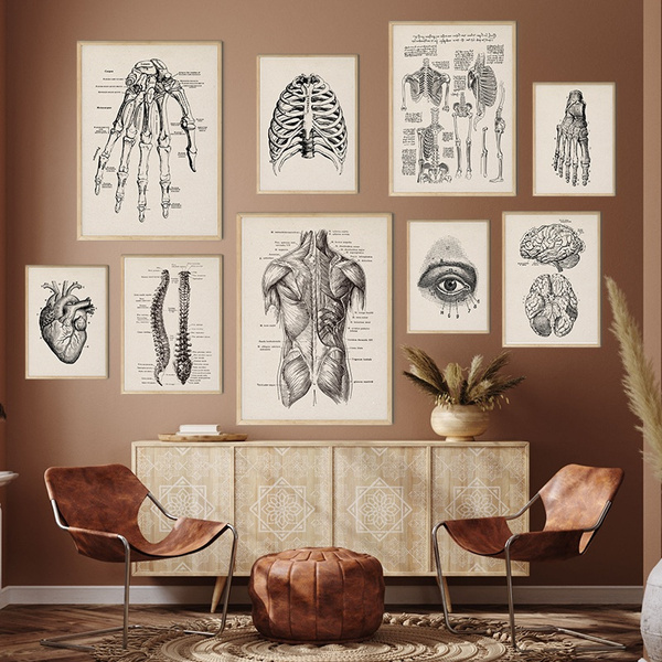 The Human Skeleton print by Vintage Educational Collection