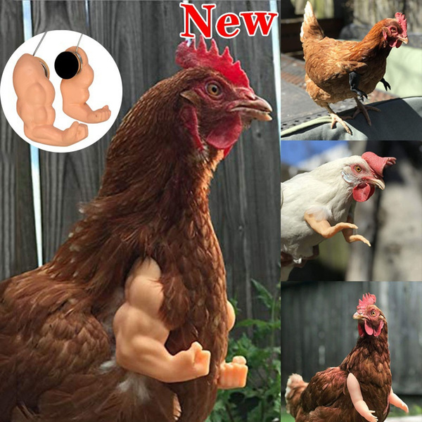 Muscle Chicken Arm Toy Chicken Forelimb Decoration Funny Spoof Gag Gift Chicken  Arms Props For Pet Chicken Decorations