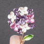 thumbnail - 1