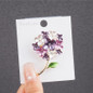 thumbnail - 2