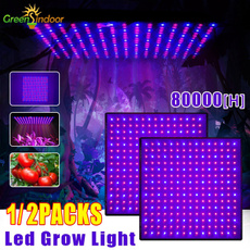 lightsforindoorplant, growinglight, Plants, Flowers