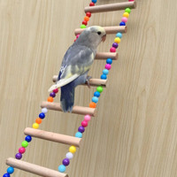 Zyyini Bird Ladders Toys Hanging Ladder Double Layer Swing Ladder Climbing Ladder Apply for Small Animals 