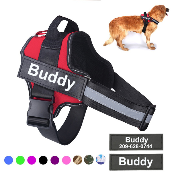 Wish cheap dog harness