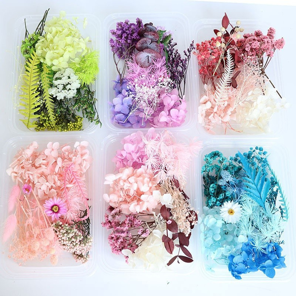 1 Box Dried Flower Dry Plants Resin Filler Decoration Aromatherapy Candle  Epoxy Resin Pendant Jewelry Making Craft Nail Art DIY Accessories