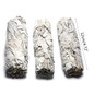thumbnail - 2