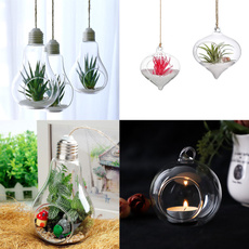 Plants, Home Decor, glassvase, Glass