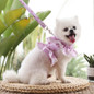 thumbnail - 2
