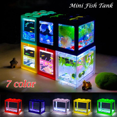 Turtle, Mini, aquariums, lights