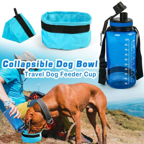 Travel Big Dog Bowl with Carabiner TEAL