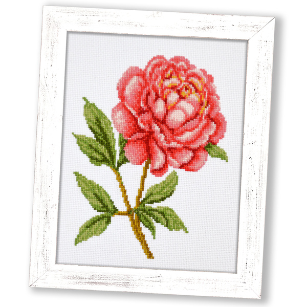 Floral Embroidery Kit, Flowers Cross Stich Kit , Plants Embroidery