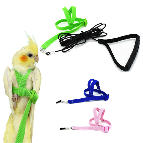 Traction Rope Bird Harness Leash Bird Leash Parrot Harness Parrot Flying  Rope