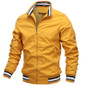 thumbnail - 2