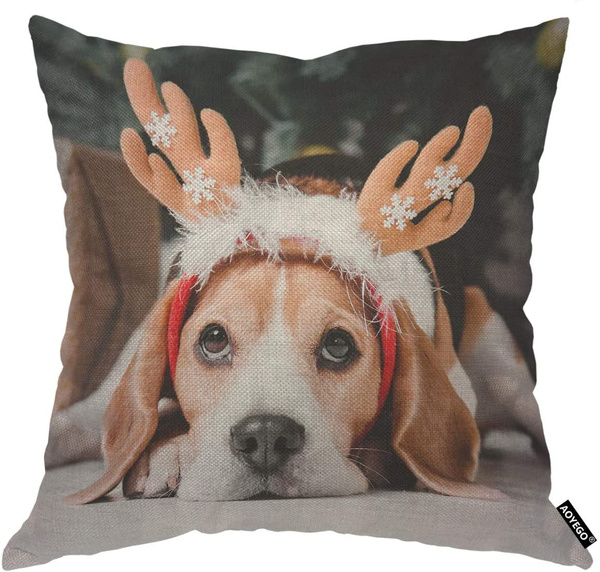 beagle pillow case