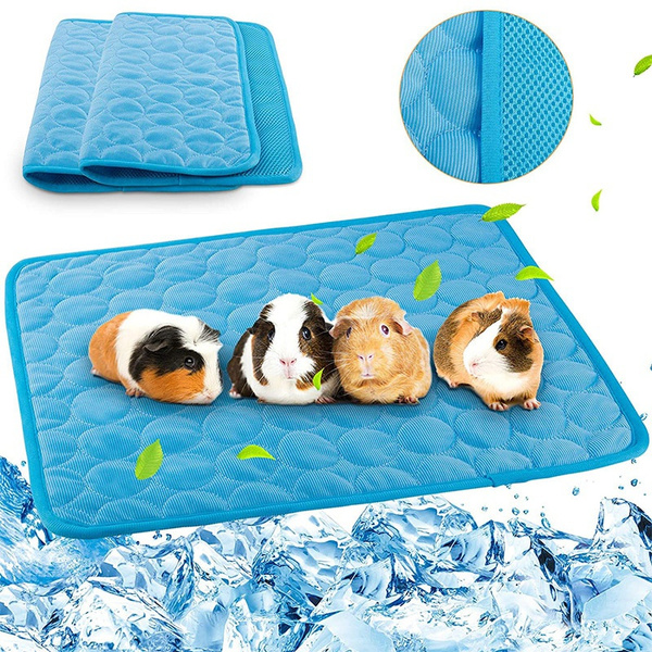 Small animal on sale cooling pad