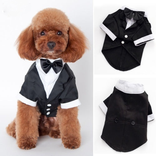 Small Pet Dog Cat Clothing Prince Wedding Suit Tuxedo Bow Tie Puppy ...